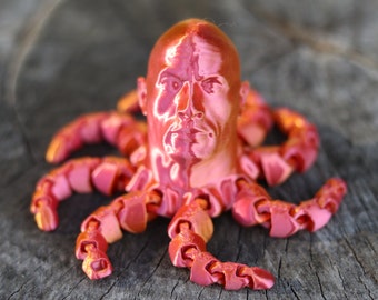 Dwaine the Rocktopus: Articulating 3D Printed Octopus Toy