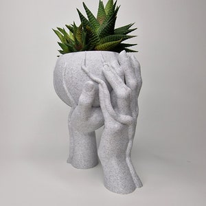 Puede incluir: Maceta de cer&aacute;mica blanca con forma de dos manos sosteniendo una maceta redonda con una planta suculenta verde.
