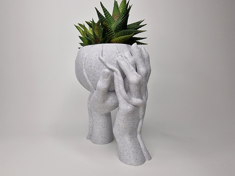 Puede incluir: Maceta de cer&aacute;mica blanca con forma de dos manos sosteniendo una maceta redonda con una planta suculenta verde.