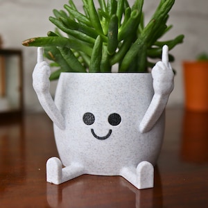 May include: White ceramic planter with a smiling face and two arms raised in a middle finger gesture. The planter is holding a green succulent plant.