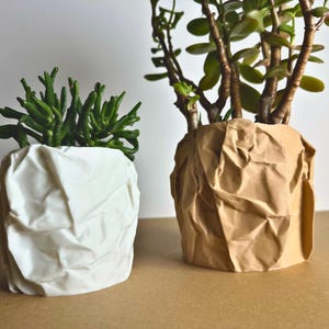 May include: Two potted plants in textured, crumpled paper pots. The plant on the left has green succulent-like leaves and is in a white pot. The plant on the right has green leaves and is in a brown pot.