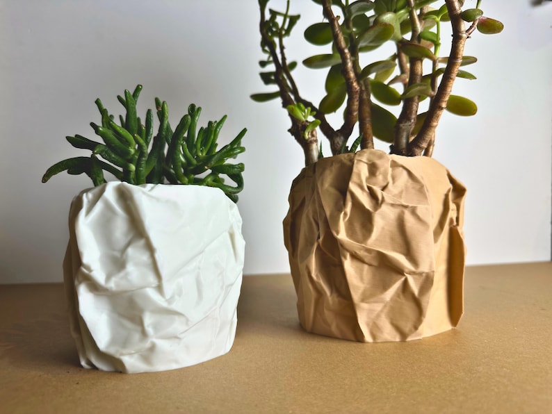 May include: Two potted plants in textured, crumpled paper pots. The plant on the left has green succulent-like leaves and is in a white pot. The plant on the right has green leaves and is in a brown pot.