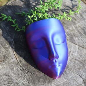 May include: A blue and purple face-shaped planter with a plant growing out of the top. The planter is made of ceramic and has a smooth, glossy finish.