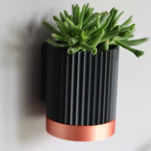 May include: A black and copper wall planter with a succulent plant. The planter has a ribbed design and a copper band around the bottom.