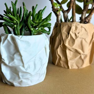 May include: Two white and brown ceramic planters with a crumpled paper texture. The white planter has a green succulent plant growing inside. The brown planter has a leafy green plant growing inside.