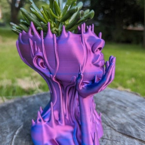 May include: A purple and blue 3D printed planter shaped like a human head with a succulent plant growing out of the top.