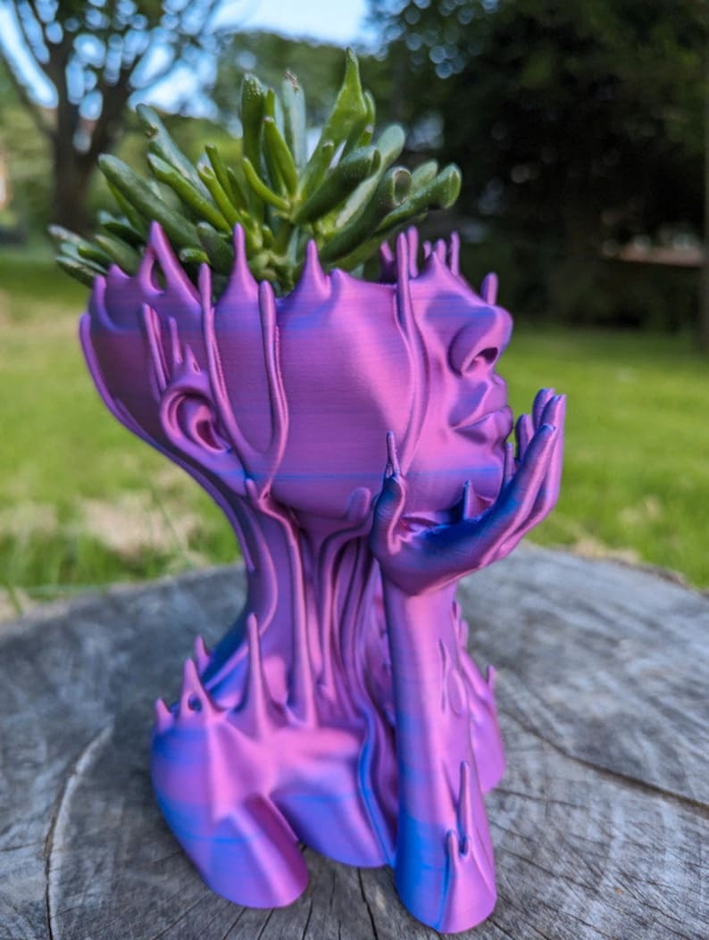 May include: A purple and blue 3D printed planter shaped like a human head with a succulent plant growing out of the top.