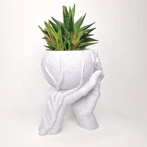 Puede incluir: Macetero de cer&aacute;mica blanca con forma de dos manos sosteniendo una maceta con una planta suculenta.
