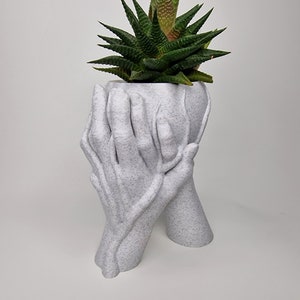 Puede incluir: Maceta de cer&aacute;mica blanca con forma de dos manos sosteniendo una planta suculenta. La maceta tiene una superficie texturizada.