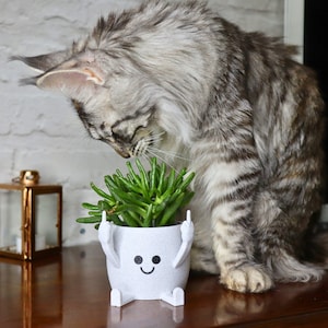 May include: A gray and white cat is sniffing a green succulent plant in a white ceramic planter with a smiley face and two raised hands. The planter is on a wooden surface.