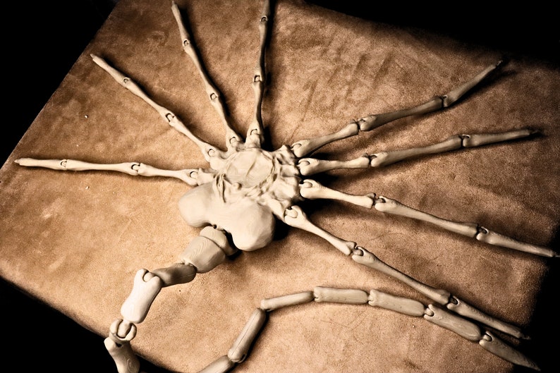 May include: A white articulated model of an alien creature with a segmented body and eight long legs. The model is posed on a brown surface.