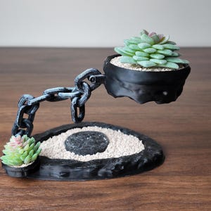 May include: A distinctive black planter featuring a chain design, supporting two small succulent plants. The base is round with a central stone and small succulent. The chain supports a second planter with a larger succulent. A decorative piece for plants.