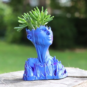 May include: A blue decorative planter shaped like a human head and neck, with a succulent plant sprouting from the top. The planter has a textured surface and a purple hue in some areas. The planter is sitting on a wooden surface.