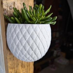 May include: A white ceramic planter with a quilted pattern, hanging on a wooden surface. The planter is filled with a green succulent plant.