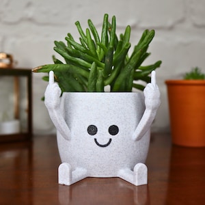 May include: White ceramic planter with a smiley face and two arms raised in a middle finger gesture. The planter is filled with a green succulent plant.