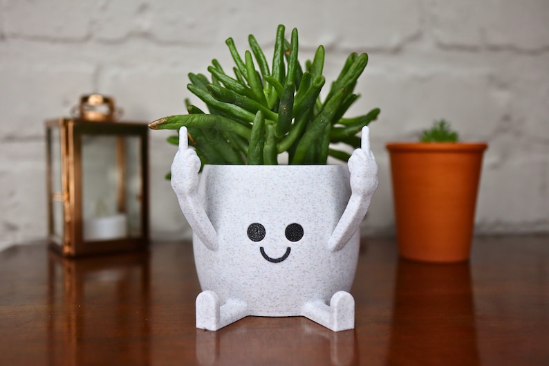 May include: White ceramic planter with a smiley face and two arms raised in a middle finger gesture. The planter is filled with a green succulent plant.