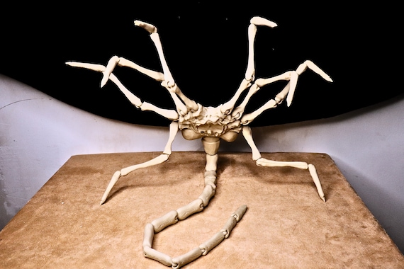 Poseable Face Grabbing Creature! Fully Articulating Sci-fi Prop