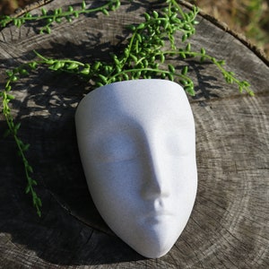 May include: White ceramic planter shaped like a face with a green succulent plant growing out of the top. The planter is sitting on a tree stump.