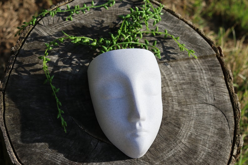 May include: White ceramic planter shaped like a face with a green succulent plant growing out of the top. The planter is sitting on a tree stump.