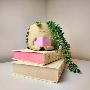 Puede incluir: Un macetero beige con forma de persona sentada con las piernas cruzadas, sosteniendo un libro rosa. El macetero tiene una cara sonriente y est&aacute; decorado con suculentas verdes. El macetero est&aacute; sentado sobre dos libros, uno rosa y otro crema, con el texto "Her Radiant Soul" en el libro crema.
