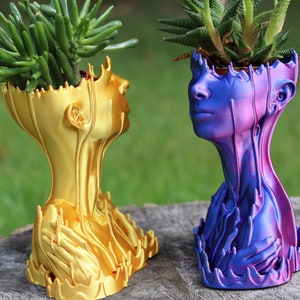 May include: Two decorative planters shaped like human heads, one gold and one blue and purple, each holding a succulent plant. The planters have a unique, artistic design with flowing, textured details.