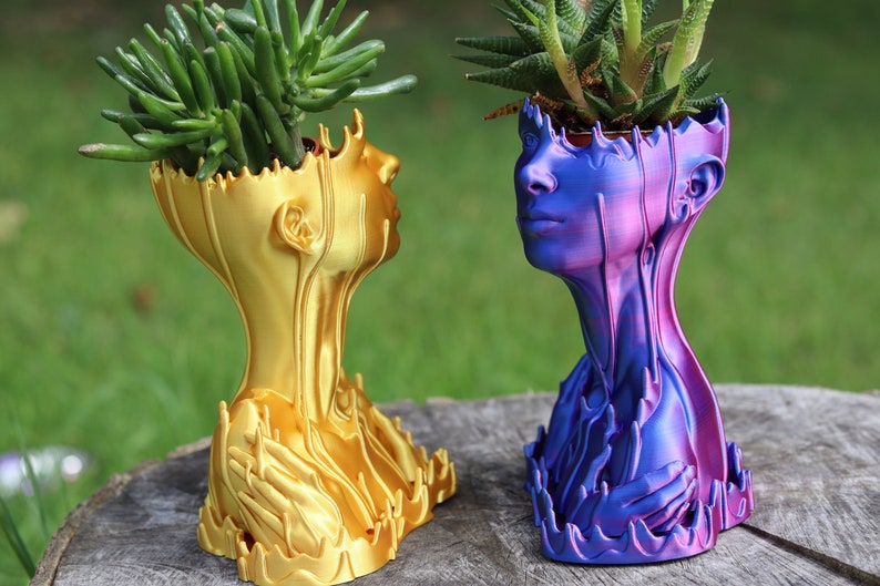 May include: Two decorative planters shaped like human heads, one gold and one blue and purple, each holding a succulent plant. The planters have a unique, artistic design with flowing, textured details.