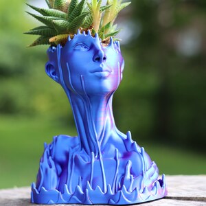 May include: A blue and purple decorative planter shaped like a human head and neck. The planter is filled with a green succulent plant. The head has detailed facial features and a textured surface. The planter is sitting on a wooden surface.