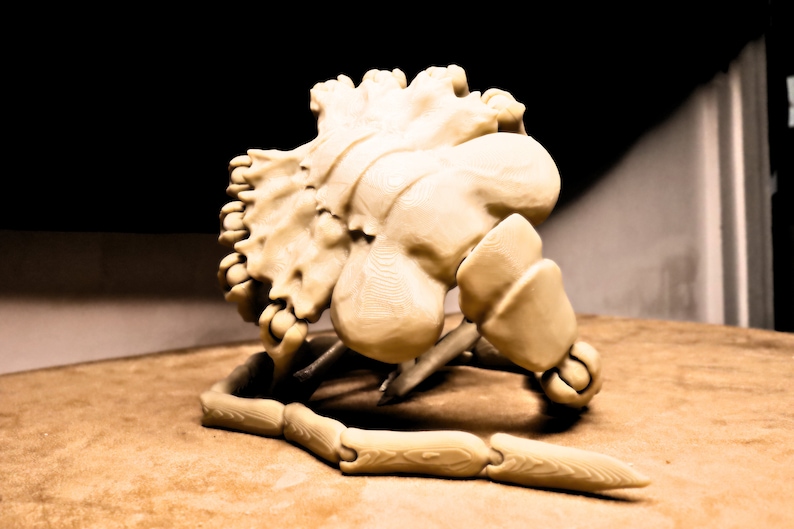 May include: A 3D printed model of a skull with a detailed bone structure. The skull is beige and has a textured surface. The skull is sitting on a brown surface.