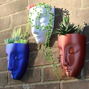 Peut inclure: Trois pots de fleurs muraux en forme de visage, chacun d'une couleur différente. Le pot de fleurs de gauche est bleu, celui du milieu est blanc et celui de droite est marron. Chaque pot de fleurs contient une plante succulente.