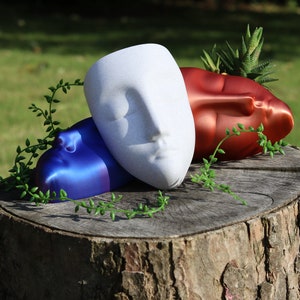 May include: Three ceramic planters shaped like faces, one white, one red, and one blue, are arranged on a tree stump. The red planter has a succulent plant growing in it.