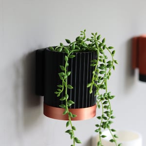 May include: A black and copper wall planter with a green succulent plant. The planter has a ribbed design and a copper band around the top.