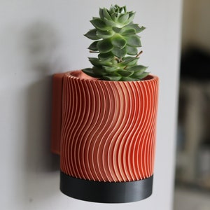 May include: A terracotta-colored wall planter with a wavy pattern and a black base. A small succulent plant is growing in the planter.