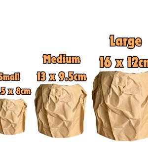 May include: Three brown paper bags of different sizes. The bags are labeled "Small 10.5 x 8cm", "Medium 13 x 9.5cm", and "Large 16 x 12cm".