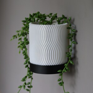 May include: A white wall-mounted planter with a wavy texture and a black rim. A trailing plant with green leaves is growing in the planter.
