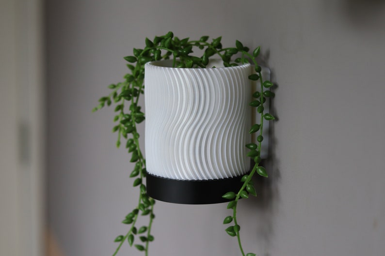 May include: A white wall-mounted planter with a wavy texture and a black rim. A trailing plant with green leaves is growing in the planter.