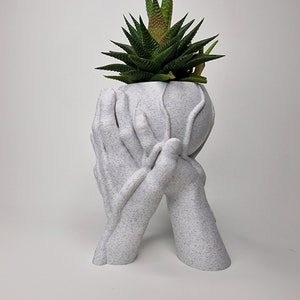 Puede incluir: Maceta de cer&aacute;mica blanca con forma de dos manos sosteniendo una esfera, con una planta suculenta verde creciendo en su interior.
