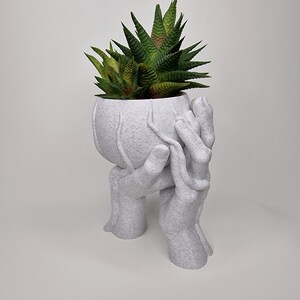 Puede incluir: Macetero de cer&aacute;mica blanca con forma de dos manos sosteniendo una maceta redonda con una planta suculenta en su interior.