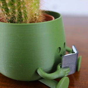 Puede incluir: Una maceta verde con forma de persona leyendo un libro. La maceta tiene agujeros de drenaje y est&aacute; hecha de un material texturizado. El cactus dentro de la maceta es verde y tiene muchas espinas.