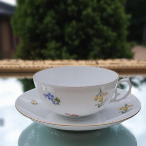 Vintage B&G Denmark Tea Cup | Hand Painted Floral Porcelain | Gold Rim | 1950s Danish Coffee Set | Rare Scandinavian China
