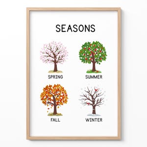 Seizoenenposter voor kinderen, kunst aan de muur vier seizoenen, print montessoriklas, decor educatief kinderdagverblijf, grafiek lente zomer herfst winter
