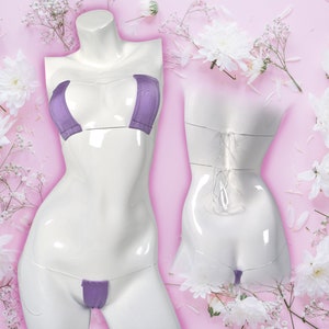 May include: A purple and clear lingerie set with adjustable straps. The set includes a bra and a thong.