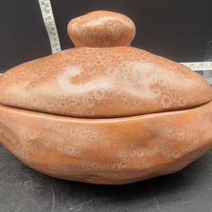 May include: A ceramic lidded dish shaped like a potato with a speckled brown and white glaze.