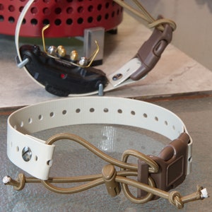 1 inch Bungee Biothane collar