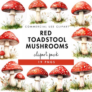 Clipart champignon champignon rouge | Champignon PNG | Champignon vénéneux rouge PNG | Utilisation commerciale | Téléchargement instantané | Illustrations de la nature