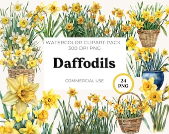 Daffodils watercolor clip art graphics, yellow flowers clipart, Daffodils PNG file, commercial use