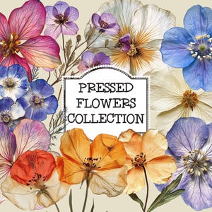 Flores prensadas Clip Art, Flores prensadas PNG, Artesanato com flores prensadas, Suprimentos para artesanato, Clipart floral, Clipart de flores secas, Scrapbooking