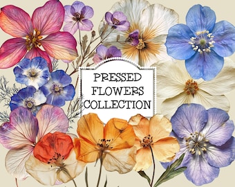 May include: A collection of pressed flowers in various colours, including blue, purple, pink, white, and orange. The flowers are arranged in a bouquet and have a vintage aesthetic. The text "PRESSED FLOWERS COLLECTION" is displayed on a white label.