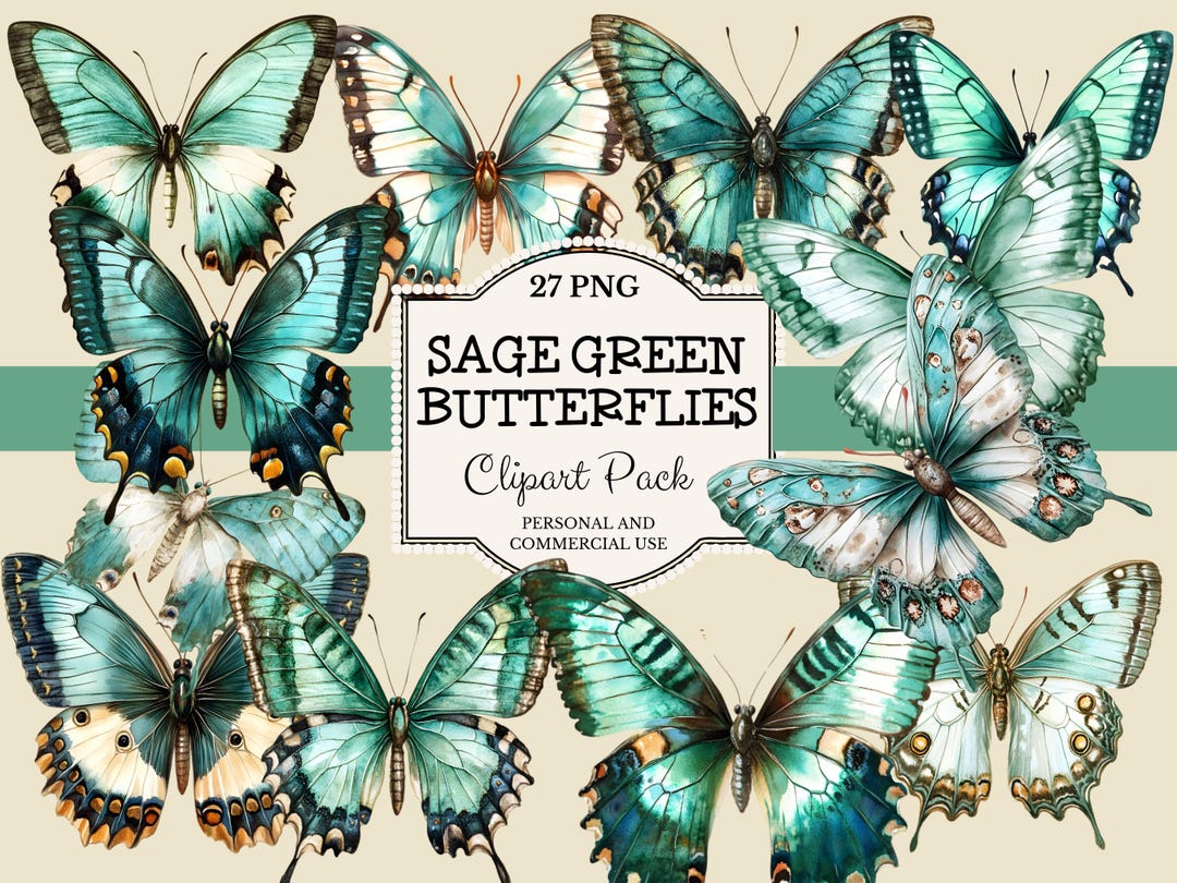 Sage Green Butterflies Clipart Graphic Illustrations Butterfly Clip Art ...