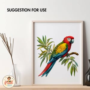Junk Modelling Parrot Vintage Parrots Clipart Graphics | Parrot PNG | Vintage Retro Bird PNG ...