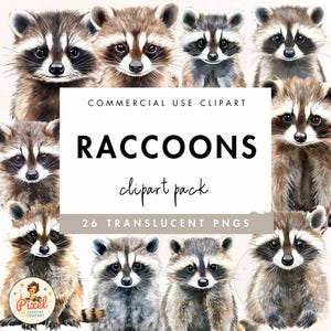 Raccoons Watercolor Clipart PNG | Feral Raccoon PNG | Cute Animal Clipart | Animals Illustrations | Commercial use | Raccoon Art